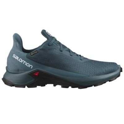 Salomon Alphacross 3 GTX Herren