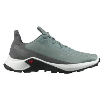 Salomon Alphacross 3 Herren