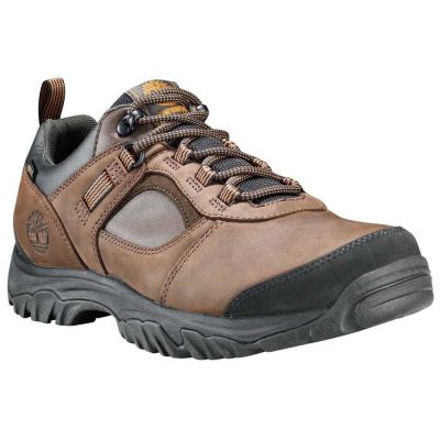 schuh Timberland Mt Major Low Leather Goretex