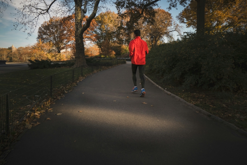 Bild eines Parks in Deutschland