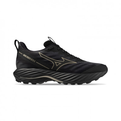  Mizuno Wave Rider GTX 2