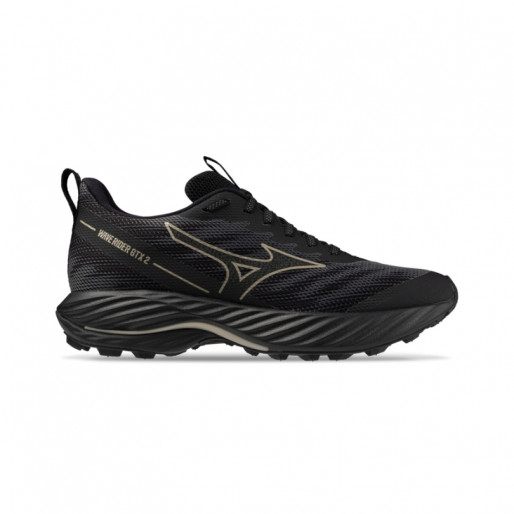 Mizuno Wave Rider GTX 2