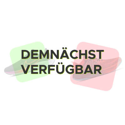 laufschuh X-Bionic Terraskin X02