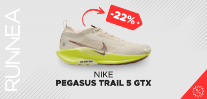 Nike Pegasus Trail 5 GTX für 99,99€ (Ursprünglich 159,99€)