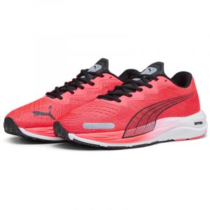 PUMA Velocity Nitro 2 Laufschuhe Herren 16 - fire orchid/puma black 42.5