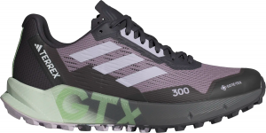 Trail-Schuhe adidas TERREX AGRAVIC FLOW 2 GTX W