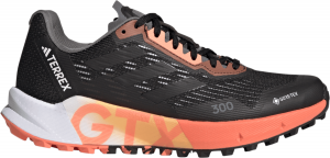 Trail-Schuhe adidas TERREX AGRAVIC FLOW 2 GTX W