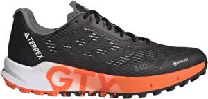 Trail-Schuhe adidas TERREX AGRAVIC FLOW 2 GTX