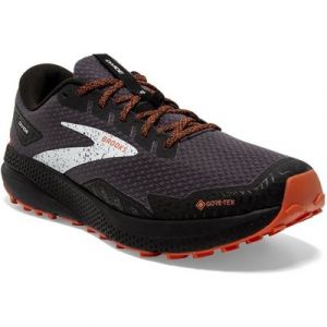 Brooks Divide 4 GTX Laufschuh