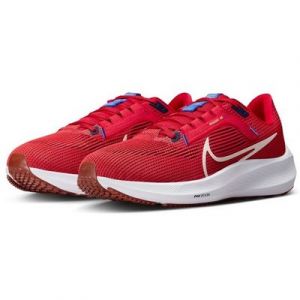 Nike PEGASUS 40 Laufschuh