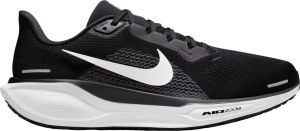 Laufschuhe Nike Pegasus 41 WIDE