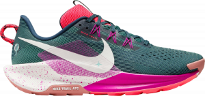 Trail-Schuhe Nike Pegasus Trail 5