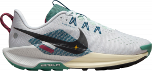 Trail-Schuhe Nike Pegasus Trail 5