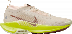 Trail-Schuhe Nike Pegasus Trail 5 GORE-TEX