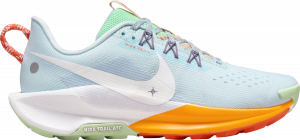 Trail-Schuhe Nike Pegasus Trail 5