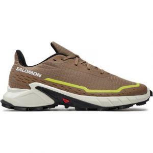 Laufschuhe Salomon Alphacross 5 L47460100 Beige