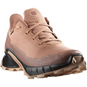 Salomon ALPHACROSS 5 GORE-TEX Laufschuh wasserdicht