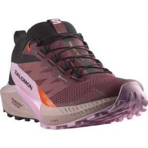 Salomon SENSE RIDE 5 GORE-TEX Laufschuh wasserdicht