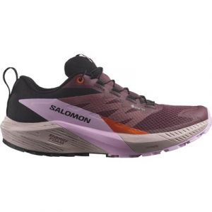 Salomon SENSE RIDE 5 GTX Laufschuhe Damen