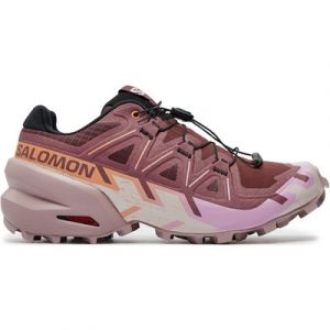 Laufschuhe Salomon Speedcross 6 L47581800 Violett