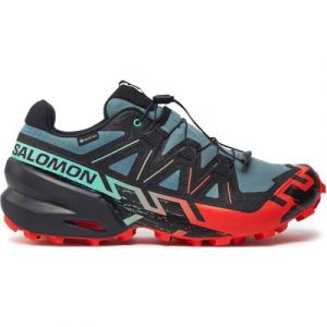 Laufschuhe Salomon Speedcross 6 Gore-Tex L47701300 Grau