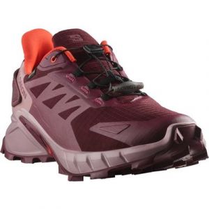 Salomon SUPERCROSS 4 GORE-TEX Laufschuh wasserdicht