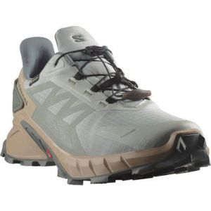 Salomon SUPERCROSS 4 GORE-TEX Laufschuh wasserdicht