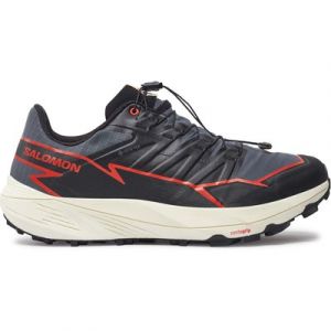 Laufschuhe Salomon Thundercross Gore-Tex L47684500 Grau