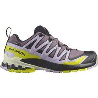 Salomon XA PRO 3D V9 Multifunktionsschuhe Damen