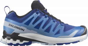 Trail-Schuhe Salomon XA PRO 3D V9