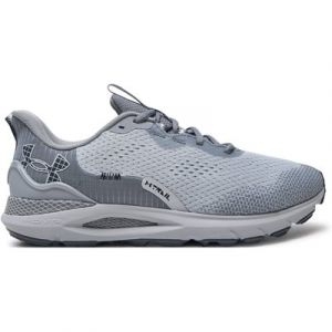 Laufschuhe Under Armour Ua U Sonic Trail 3027764-100 Grau