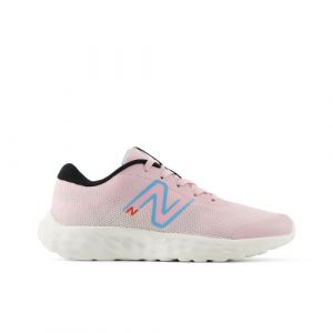 New Balance Kinder 520v8 in Rosa/Blau/Schwarz