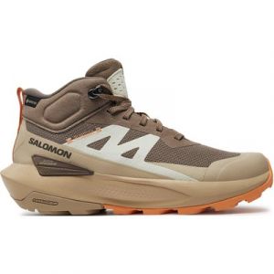 Trekkingschuhe Salomon Elixir Activ Mid Gore-Tex L47457200 Beige