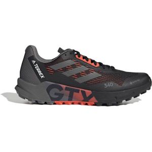 ADIDAS Herren Trailrunningschuhe TERREX AGRAVIC FLOW 2 GTX