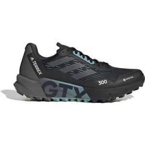 adidas Performance TERREX AGRAVIC FLOW 2 GTX W Laufschuh