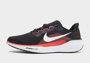 Nike Pegasus 41