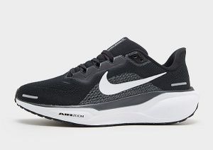 Nike Pegasus 41 Women's