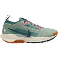 Nike PEGASUS TRAIL 5 GTX Laufschuhe Herren