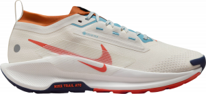 Trail-Schuhe Nike Pegasus Trail 5 GORE-TEX