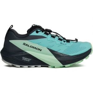 Laufschuhe Salomon Sense Ride 5 Gore-Tex L47216000 Blau