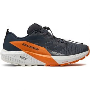 Laufschuhe Salomon Sense Ride 5 Gore-Tex L47459400 Grau