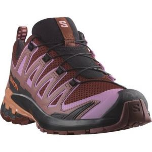 Salomon XA PRO 3D V9 Laufschuh