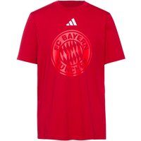 adidas FC Bayern München T-Shirt Herren