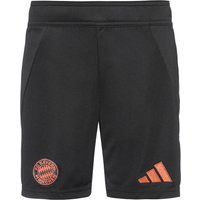 adidas FC Bayern München 24-25 Auswärts Fußballshorts Kinder