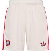 adidas FC Bayern München 24-25 3rd Fußballshorts Herren