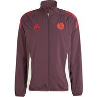 adidas FC Bayern München Prematch Trainingsjacke Herren