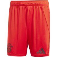 adidas FC Bayern München 24-25 Heim Fußballshorts Herren