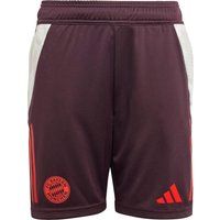 adidas FC Bayern München Fußballshorts Kinder