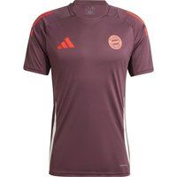 adidas FC Bayern München Funktionsshirt Herren