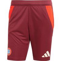 adidas FC Bayern München Fußballshorts Herren